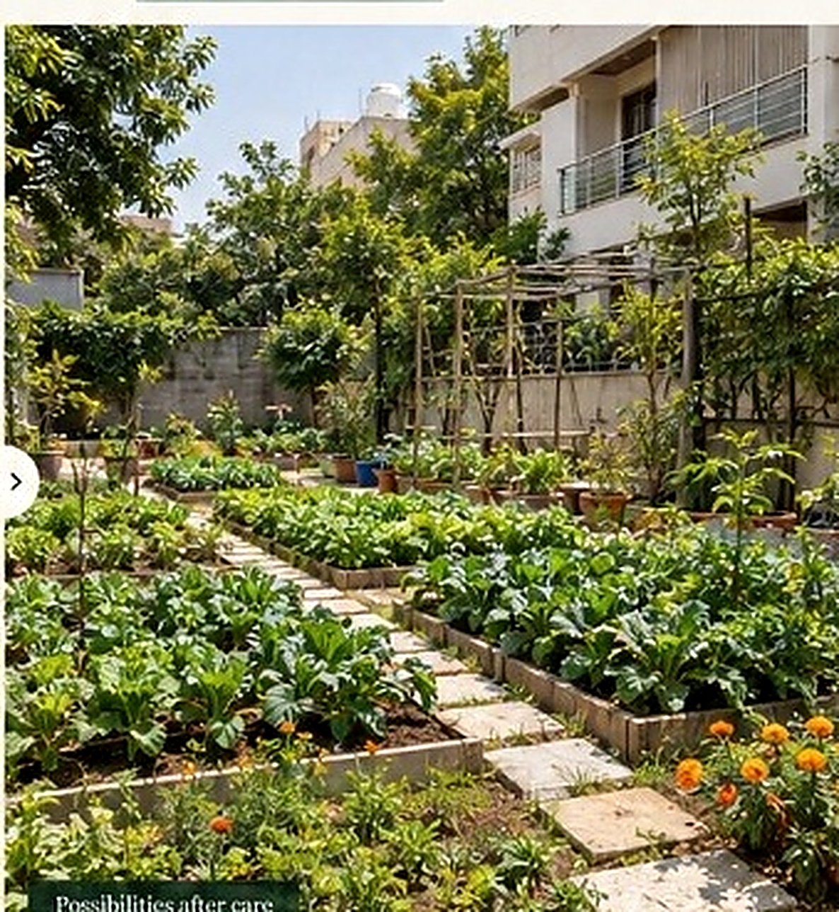 Care-restored agricultural plot