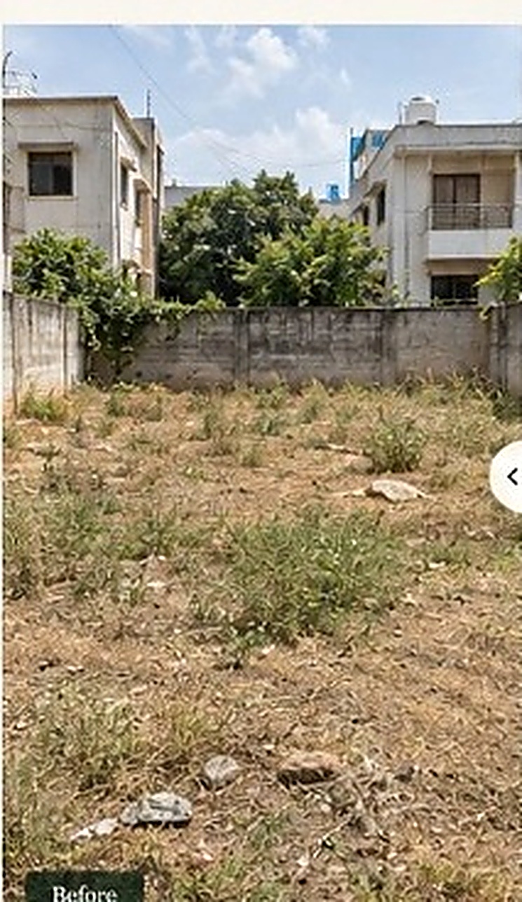 Overgrown idle plot before care